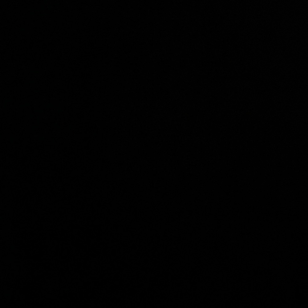 Skims velour joggers